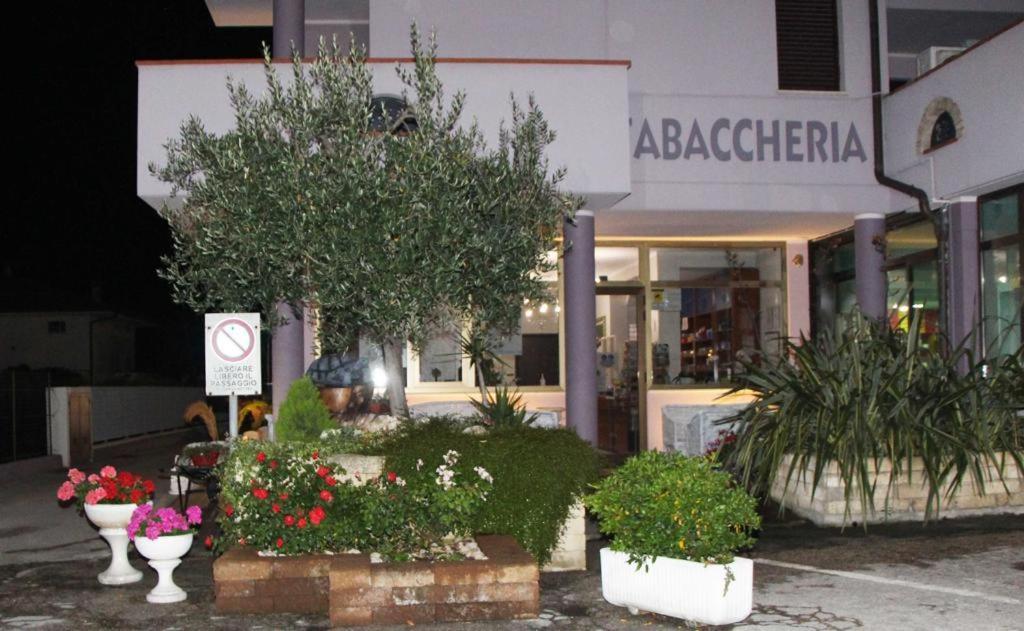 Pensione Degli Ulivi Porto SantʼElpidio Zewnętrze zdjęcie