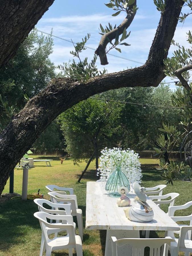 Pensione Degli Ulivi Porto SantʼElpidio Zewnętrze zdjęcie
