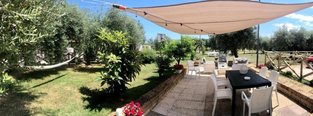 Pensione Degli Ulivi Porto SantʼElpidio Zewnętrze zdjęcie