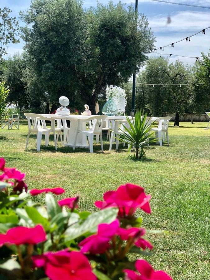 Pensione Degli Ulivi Porto SantʼElpidio Zewnętrze zdjęcie