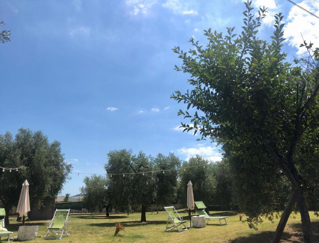 Pensione Degli Ulivi Porto SantʼElpidio Zewnętrze zdjęcie