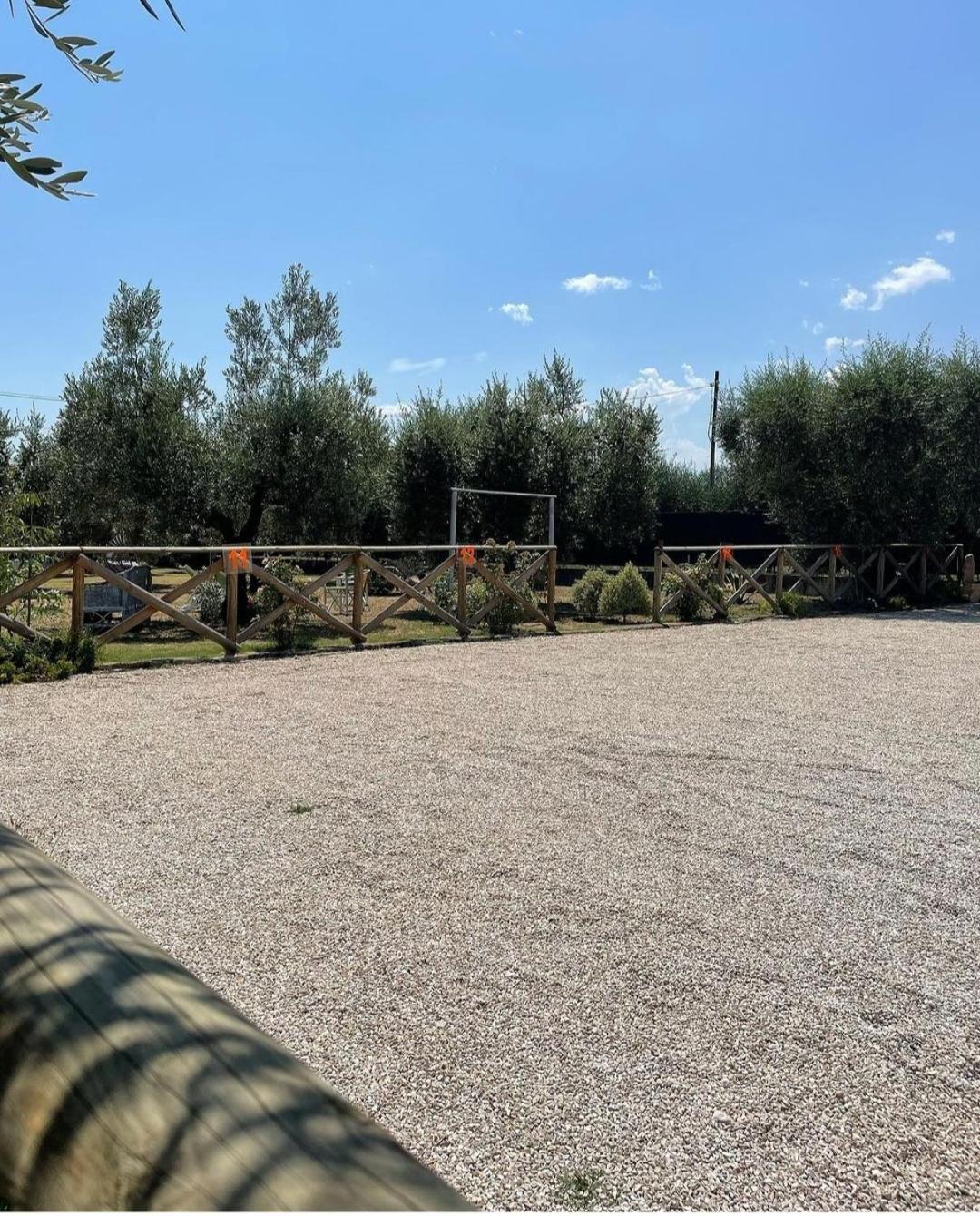 Pensione Degli Ulivi Porto SantʼElpidio Zewnętrze zdjęcie