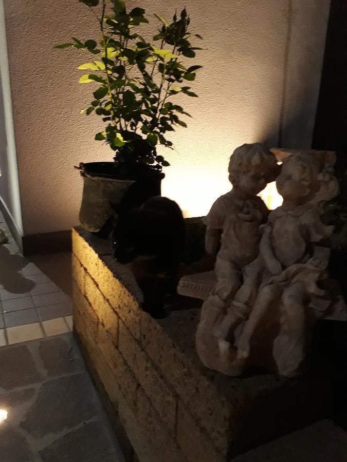 Pensione Degli Ulivi Porto SantʼElpidio Zewnętrze zdjęcie